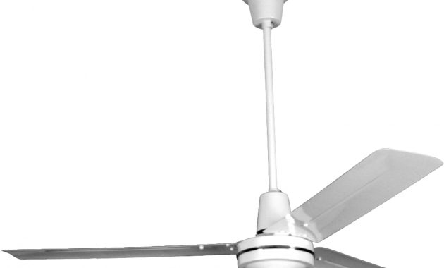 Qmark Commercial Ceiling Fans inside proportions 1870 X 1379