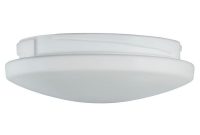 Replacement Etched Opal Glass Light Cover For Mercer 52 In Brushed for measurements 1000 X 1000