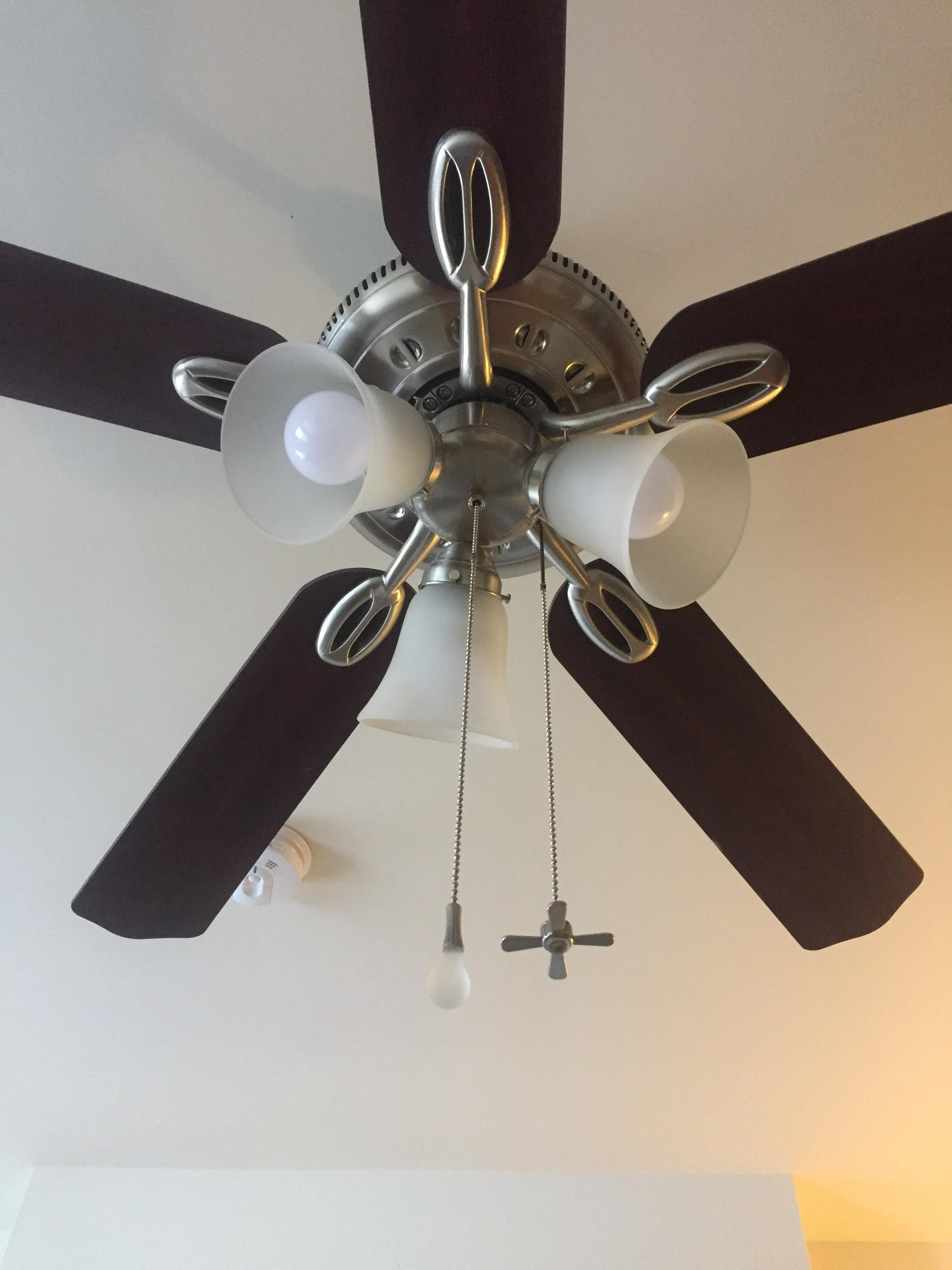 The Ceiling Fan In Our New Home Has String Decorations That Indicate intended for dimensions 2448 X 3264