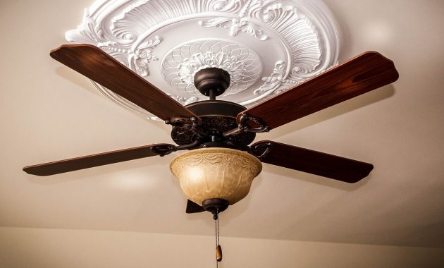 Top 10 Best Ceiling Fans Of 2019 Reviews for measurements 1277 X 747