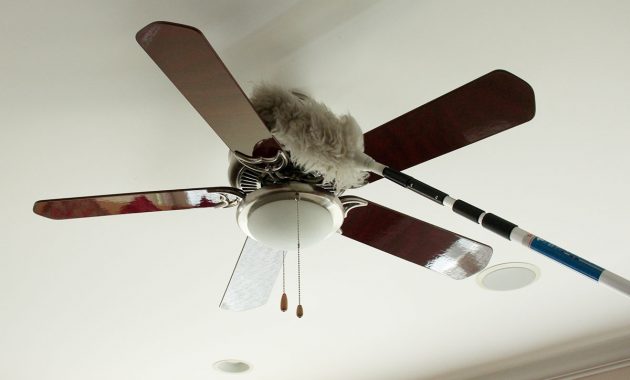 Wipe And Dust Ceiling Fans And Portable Fans Homezada intended for measurements 1200 X 900