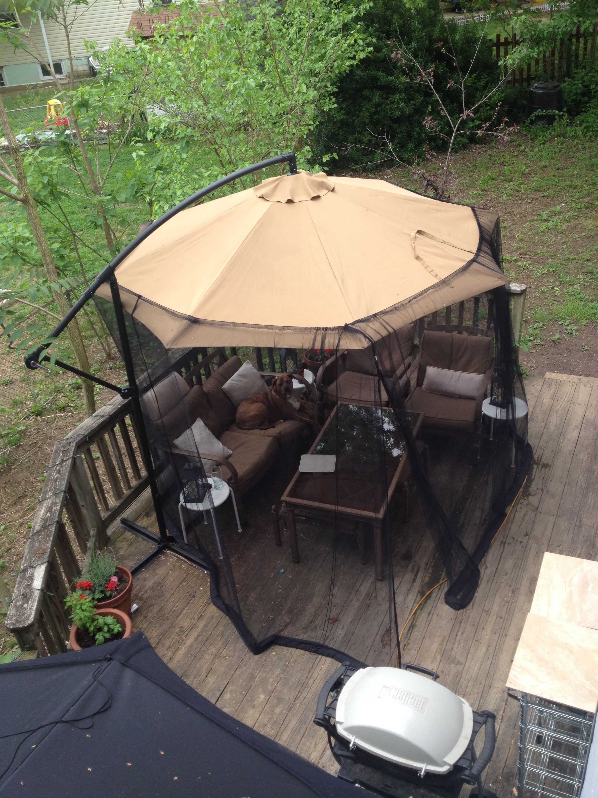 100 Screened Gazebo Outdoor Bug Free Living Room On My Deck 10 regarding dimensions 2448 X 3264