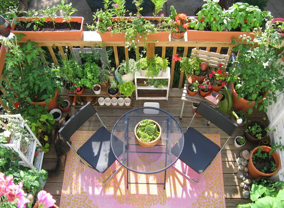 11 Deck Vegetable Garden Ideas To Grow More In Less Space Balcony in measurements 1200 X 878