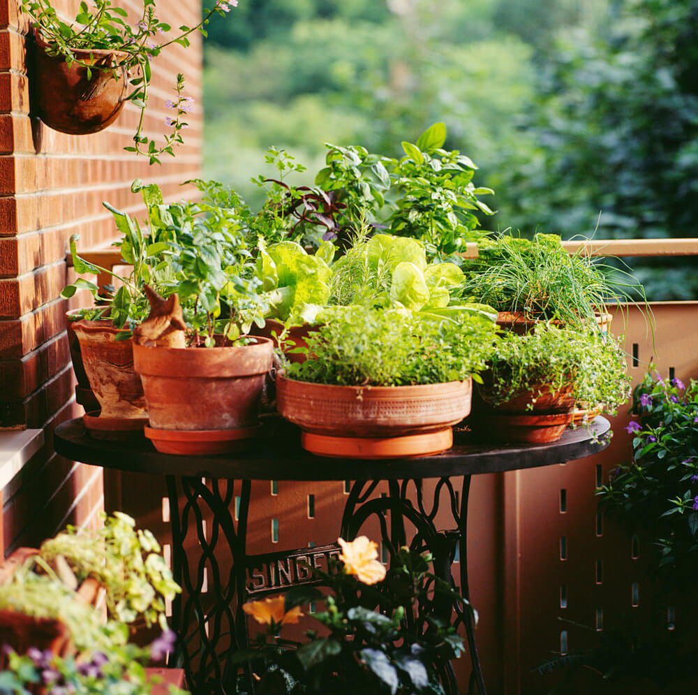 35 Patio Potted Plant And Flower Ideas Creative And Lovely Photos intended for dimensions 1000 X 995