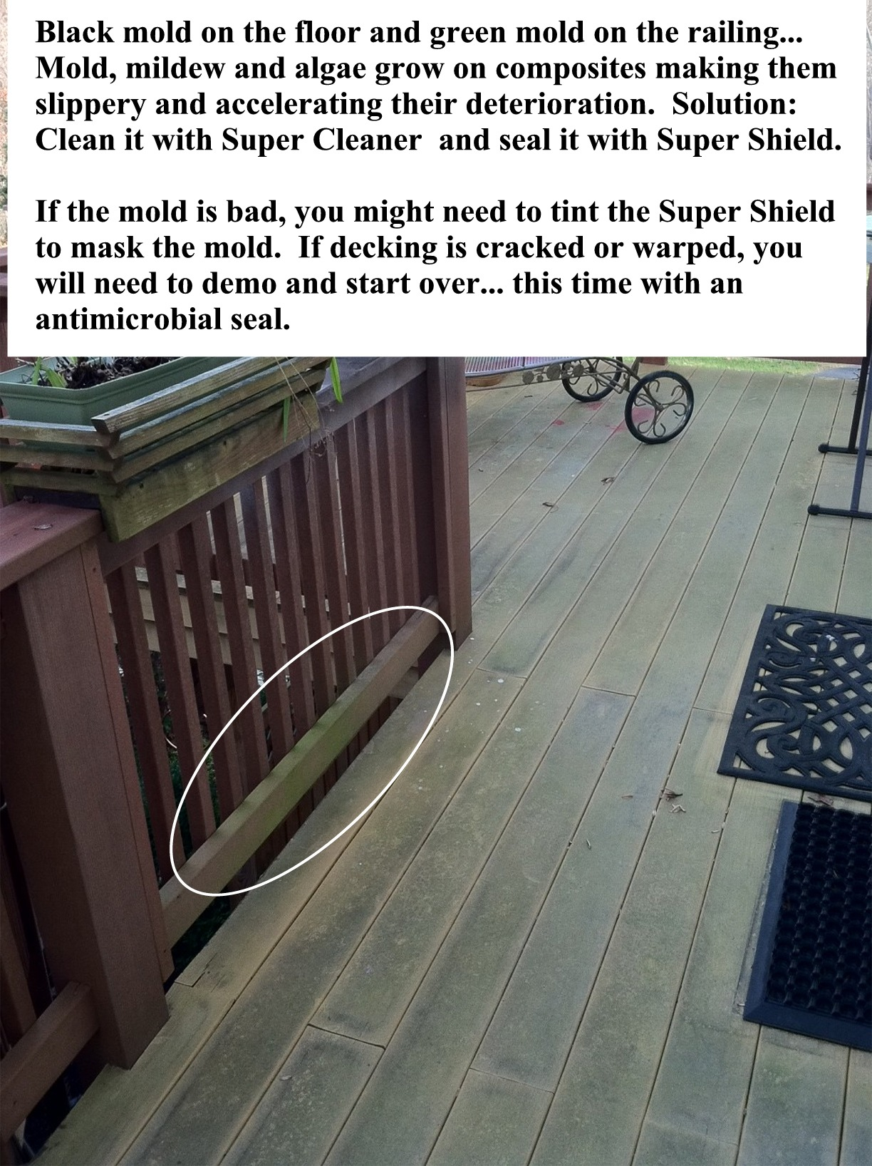 Composite Decking And Railings Clean Stain Seal Paint Problems intended for proportions 1224 X 1636