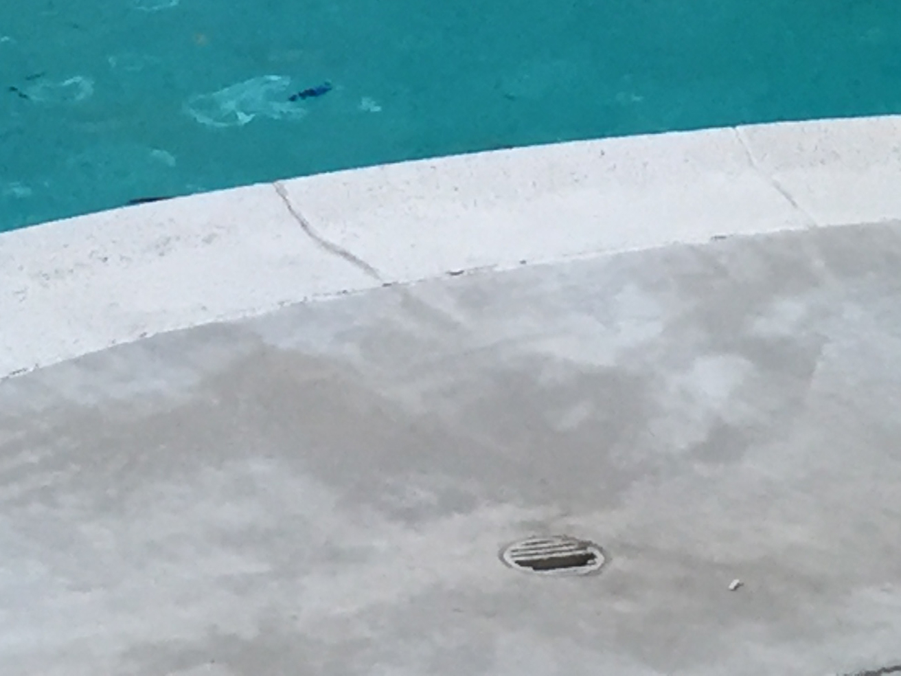 Deck Drain Clogged And Replacement Drain Covers Trouble Free Pool inside size 1312 X 984