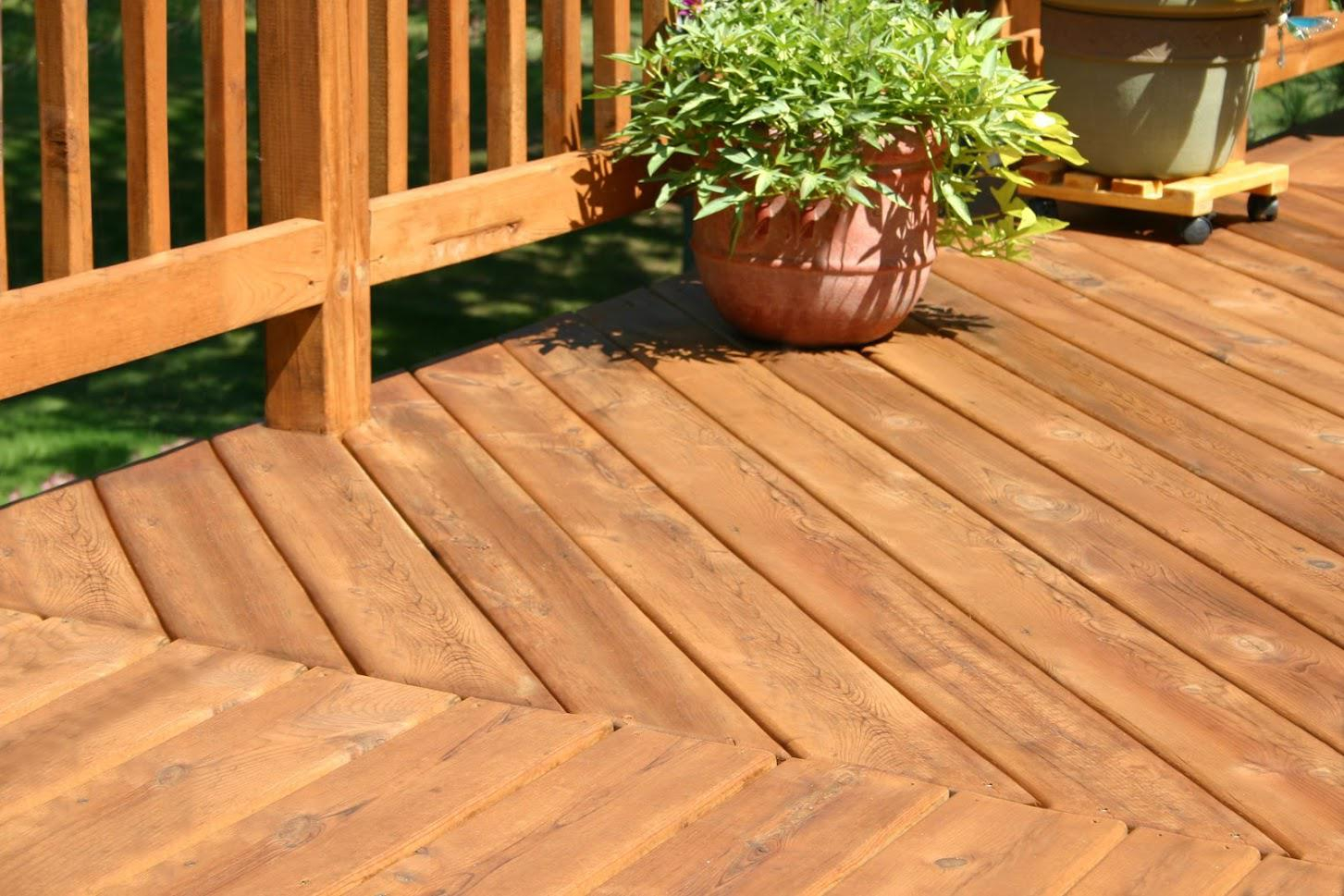 Deck Mold Causes Dangers Prevention Methods And Treatment Options regarding sizing 1453 X 969