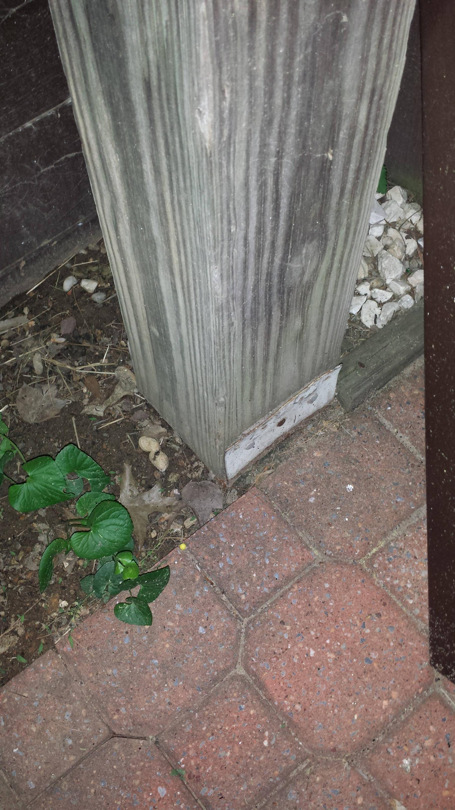 Deck Posts Set In Concrete Or Use Anchors Home Improvement inside dimensions 1811 X 3220