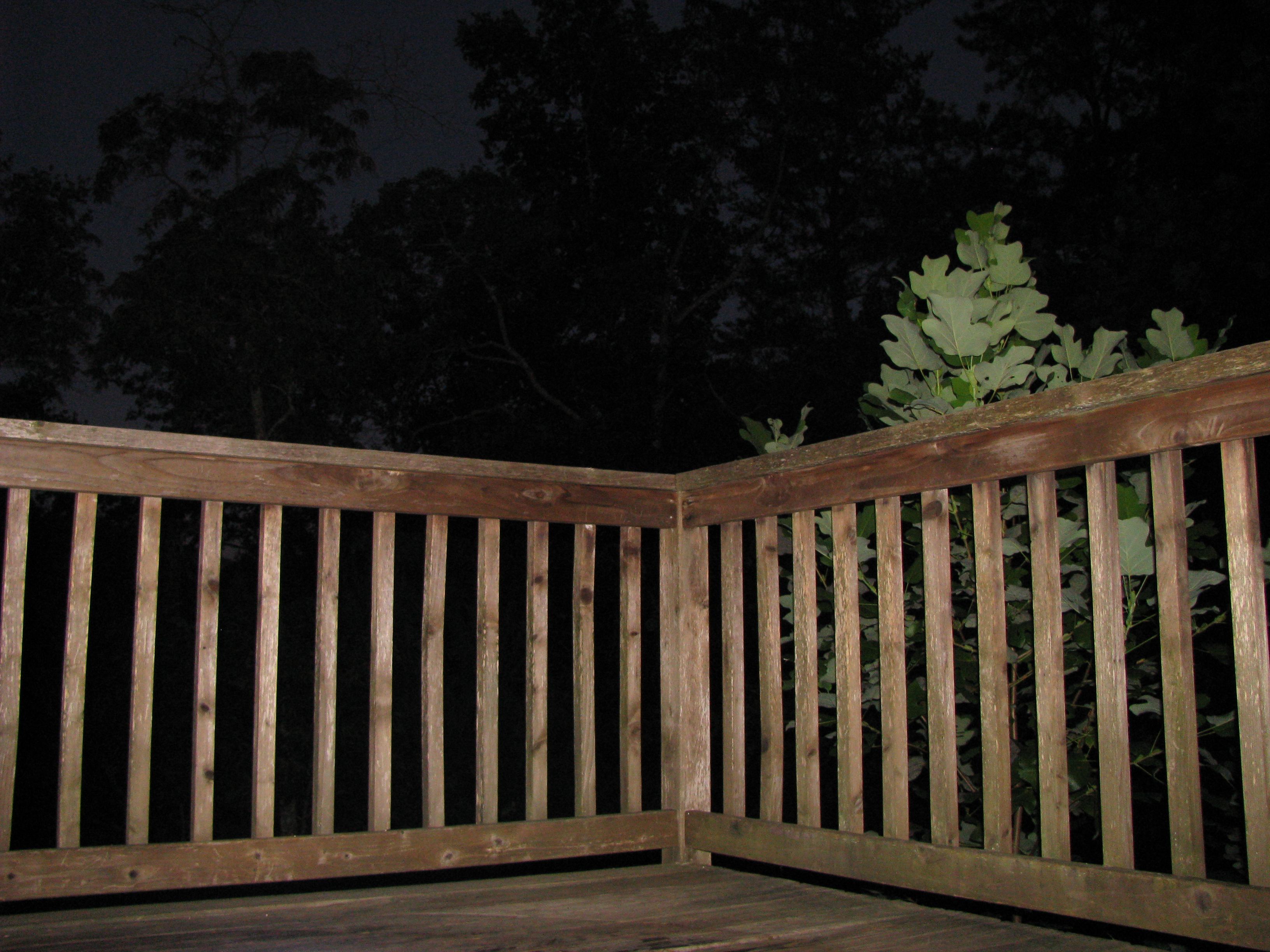 Deck Railing Wikipedia with regard to sizing 3264 X 2448