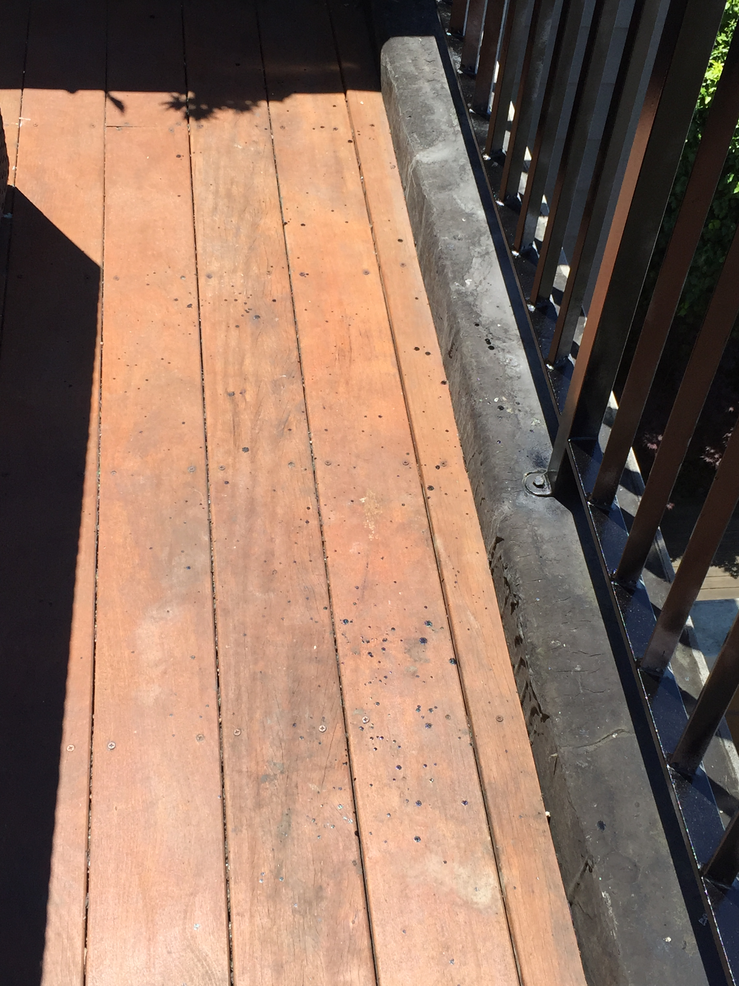 Diy Painted My Outdoor Deck Railings Black Noznoznoz inside size 2448 X 3264