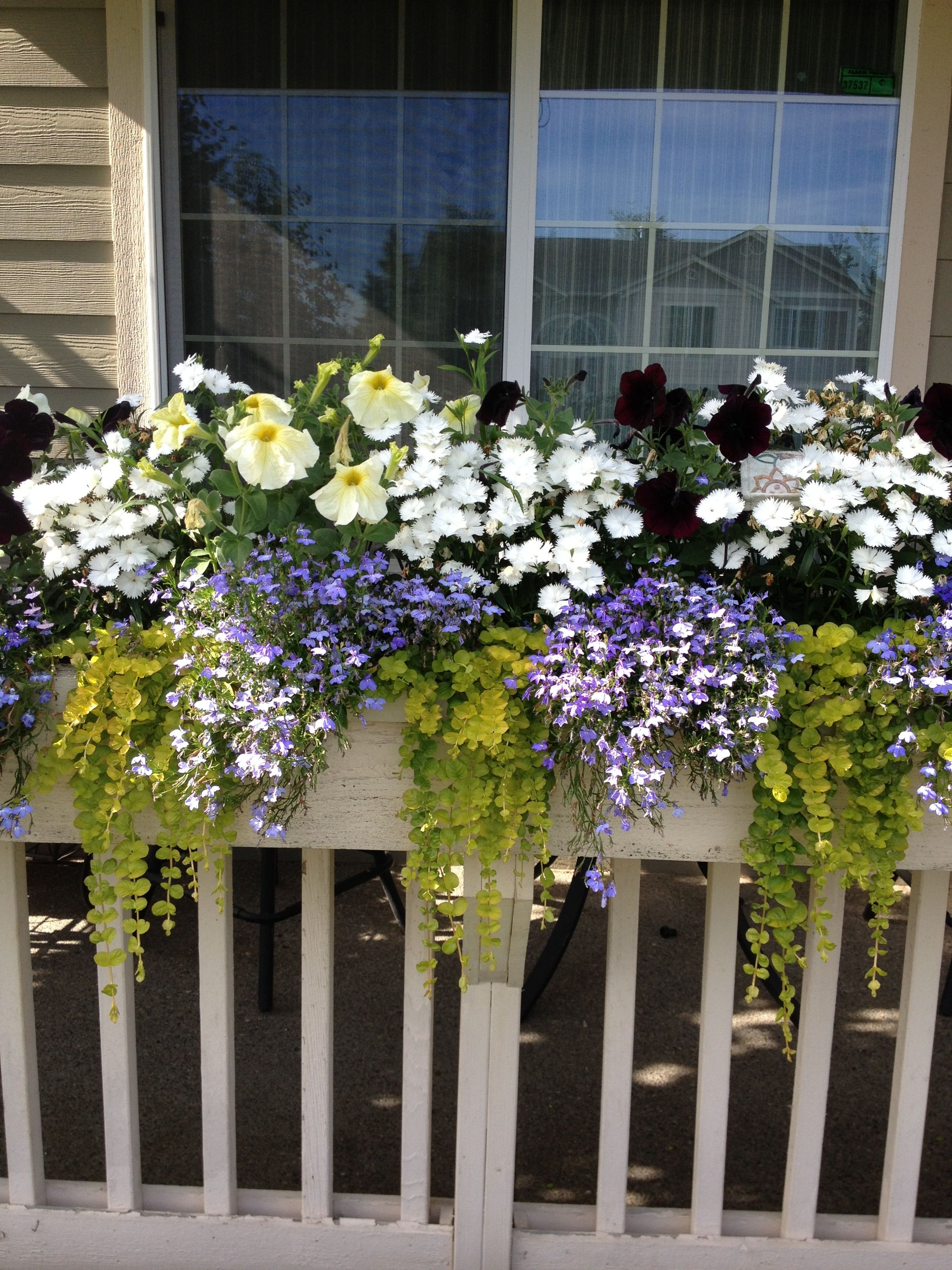Front Porch Railing Flower Box Gardenoutdoors Front Porch regarding proportions 2448 X 3264