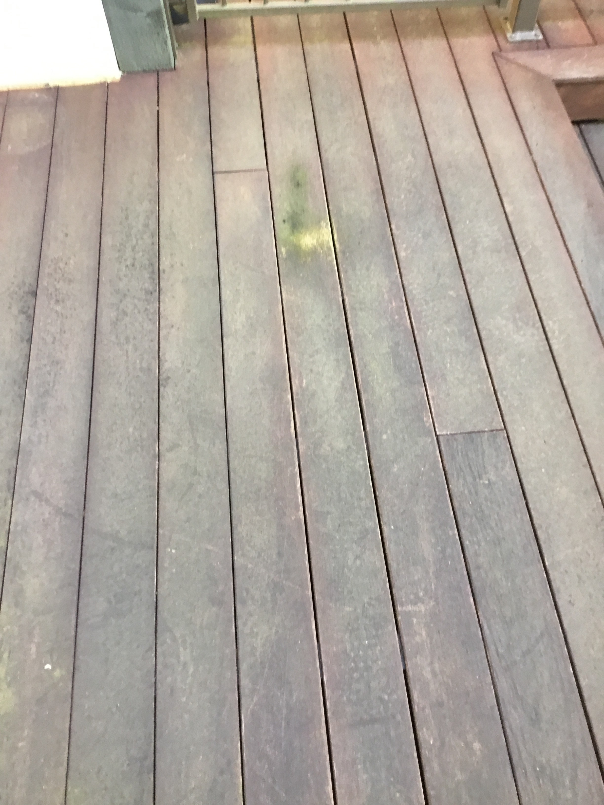 Ipe Staining Instructions Best Deck Stain Reviews Ratings with regard to proportions 2448 X 3264