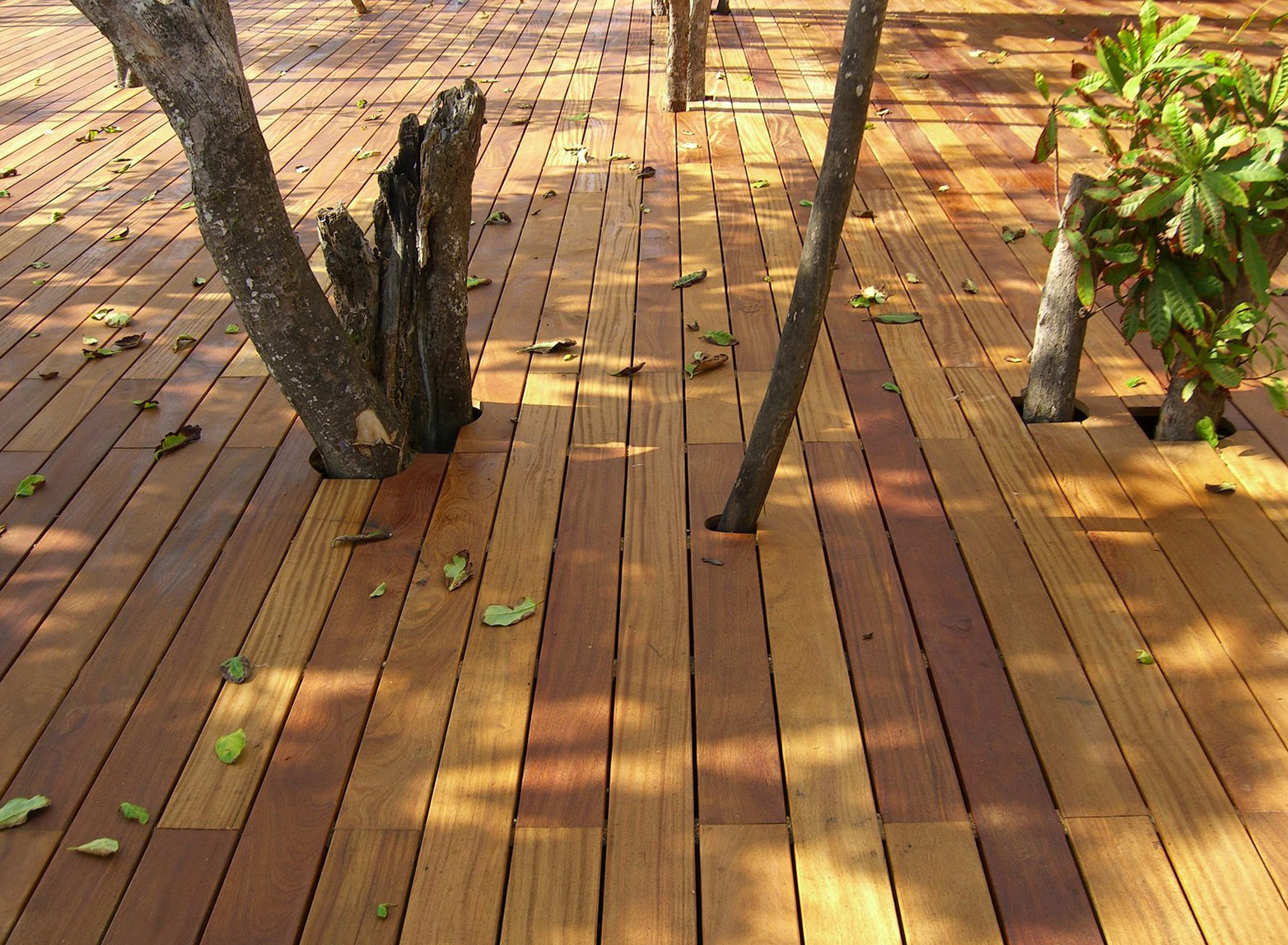 Iron Woods Ipe Decking within dimensions 1564 X 1148