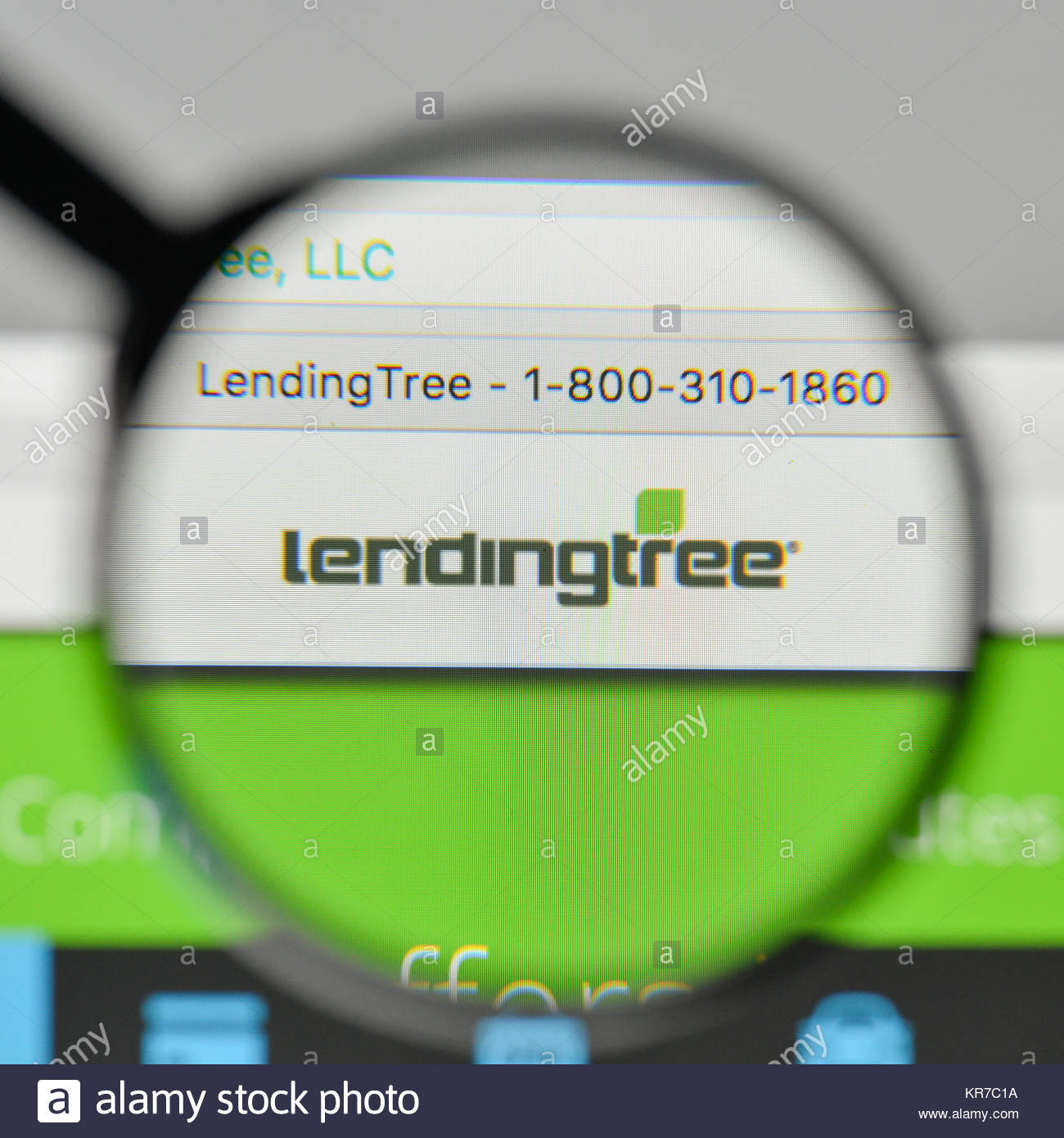 Lending Tree Stock Photos Lending Tree Stock Images Alamy pertaining to proportions 1300 X 1390