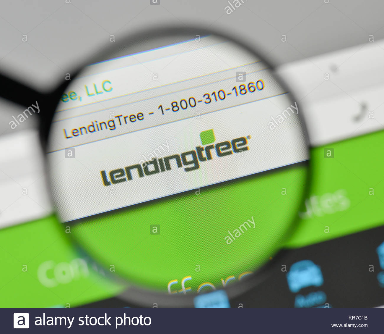 Lending Tree Stock Photos Lending Tree Stock Images Alamy throughout measurements 1300 X 1129