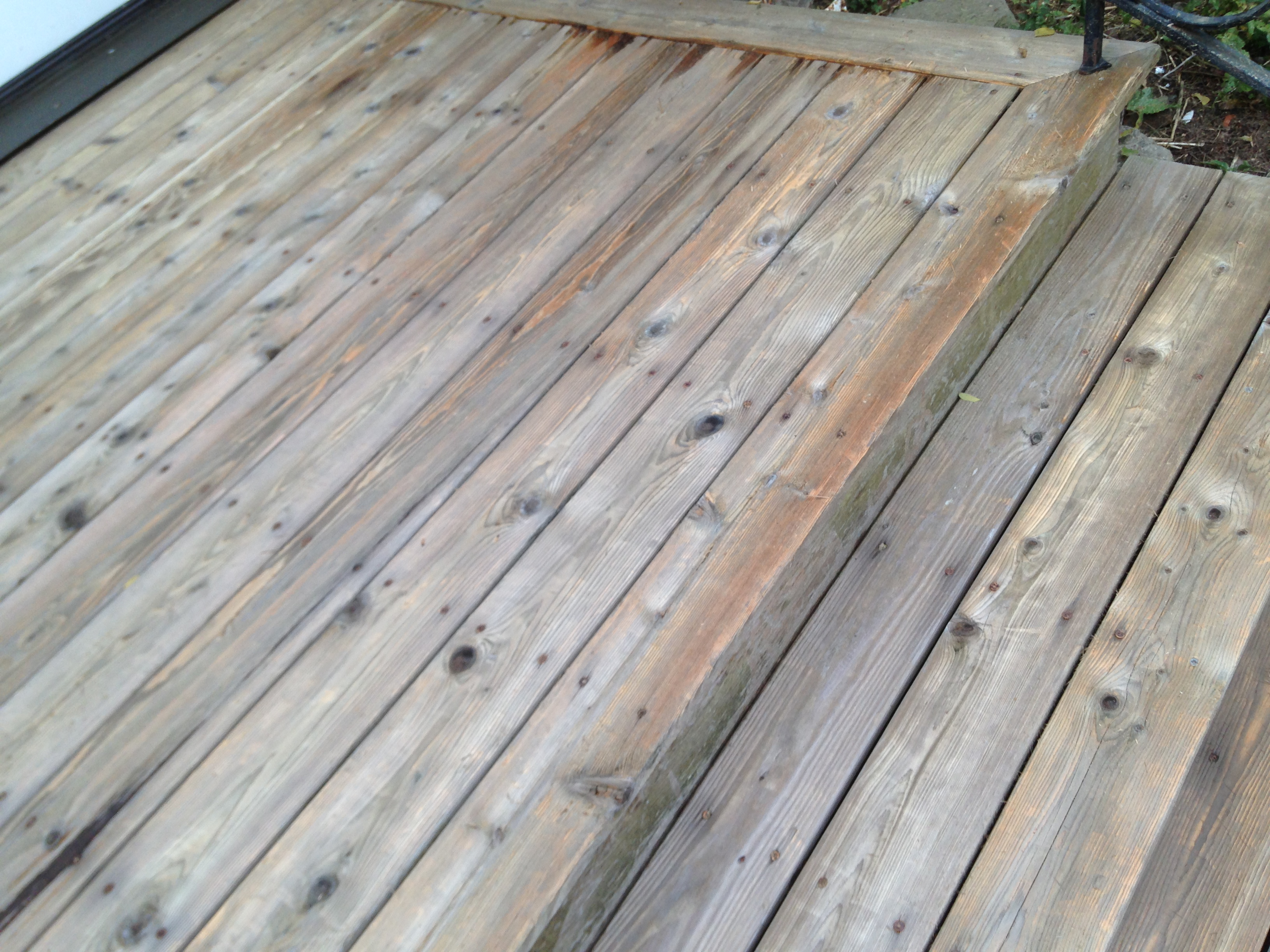 Mold And Mildew On Wood Decks Best Deck Stain Reviews Ratings for sizing 3264 X 2448