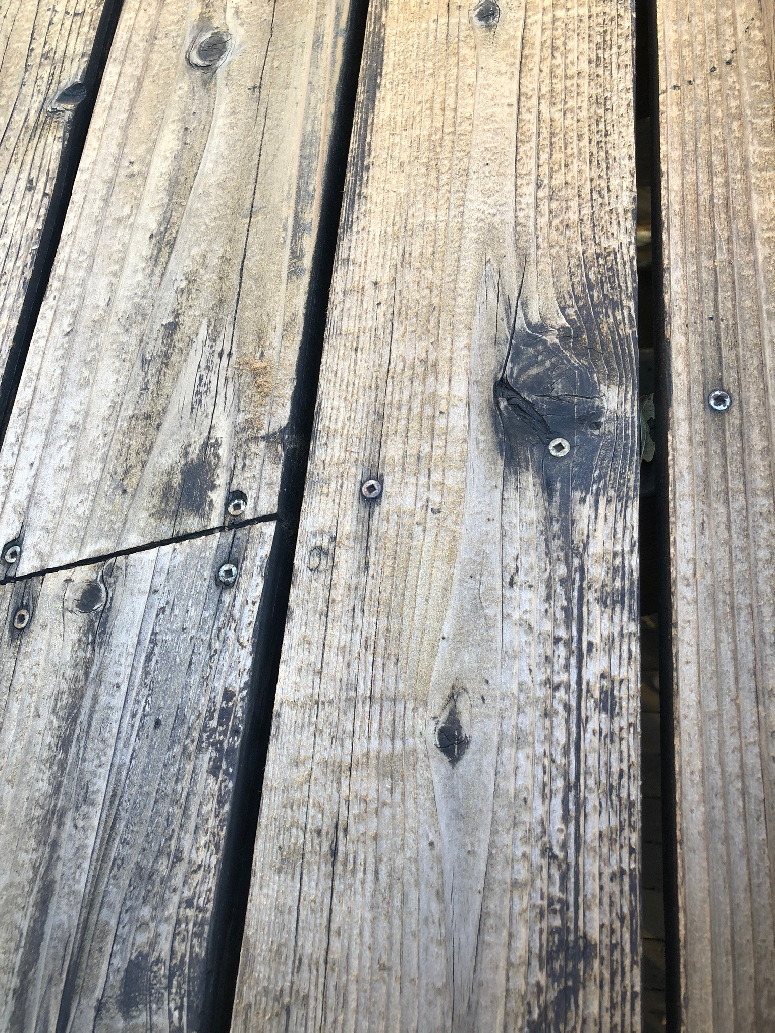 Mold And Mildew On Wood Decks Best Deck Stain Reviews Ratings with regard to size 1536 X 2048