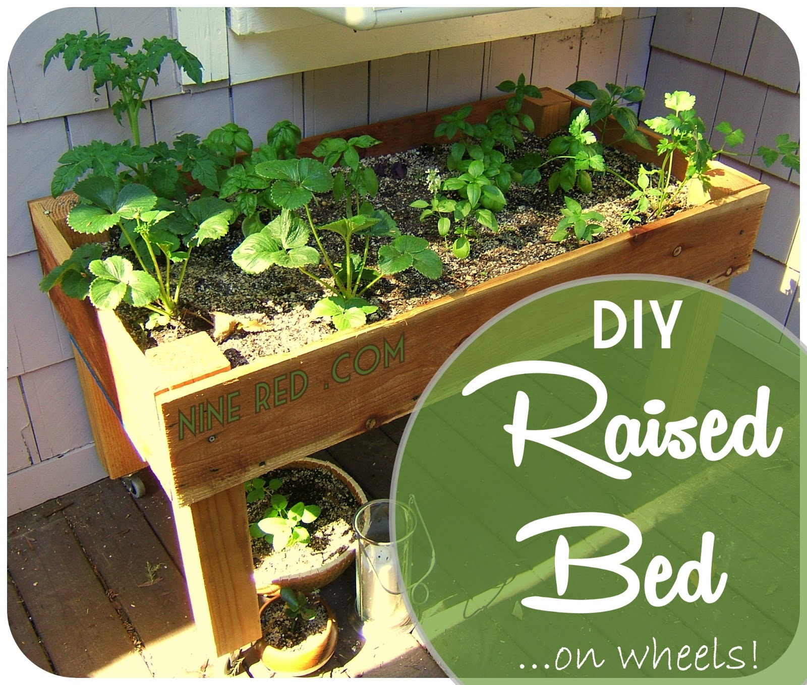 Nine Red Diy Simple Raised Bed On Wheels with size 1600 X 1359