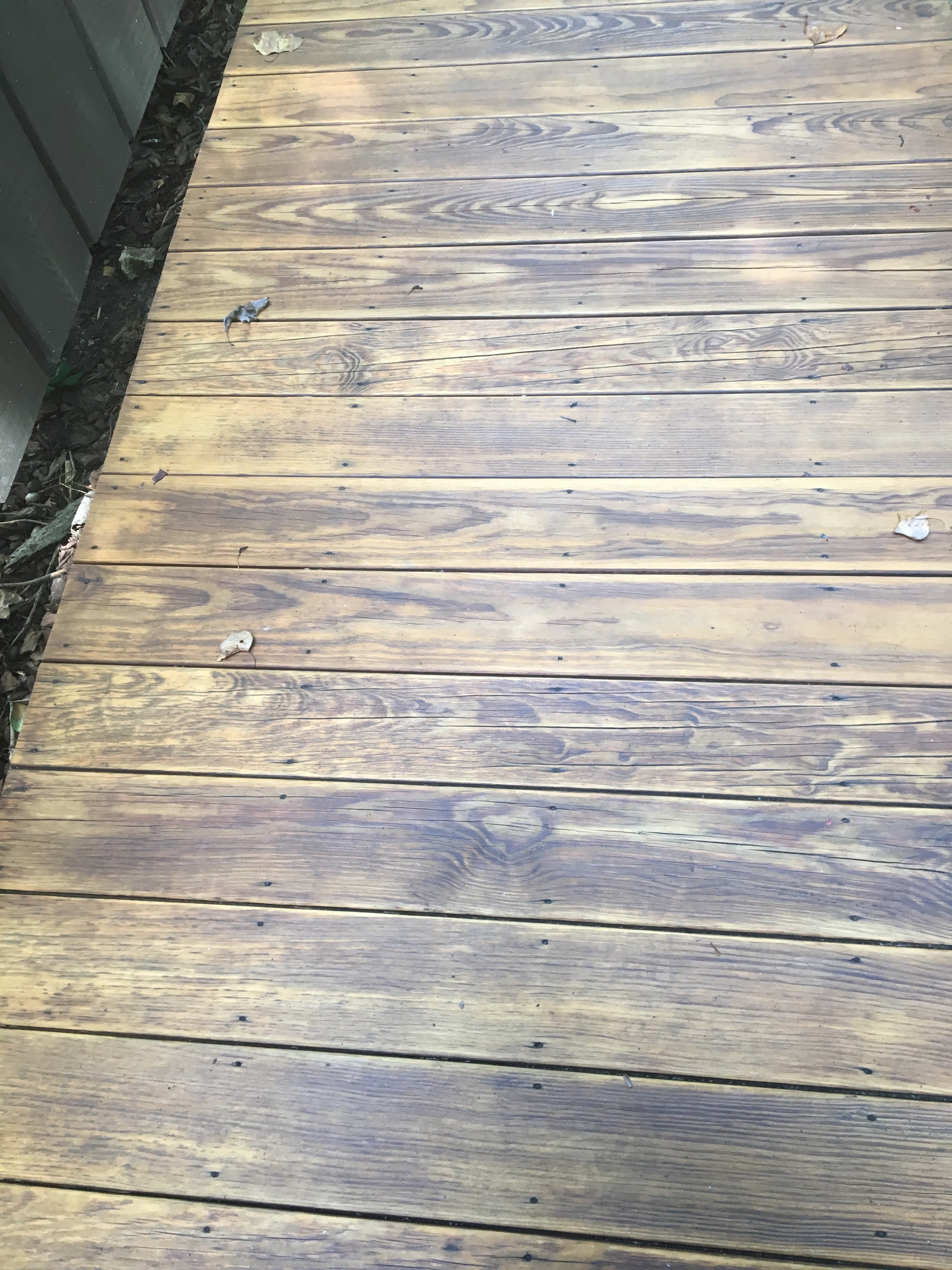 Oil Based Deck Stains 2019 Best Deck Stain Reviews Ratings regarding dimensions 3024 X 4032