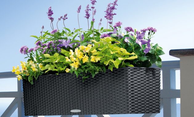 Outdoor Beautiful Railing Planters For Your Fence Or Deck Railing in size 3200 X 3200