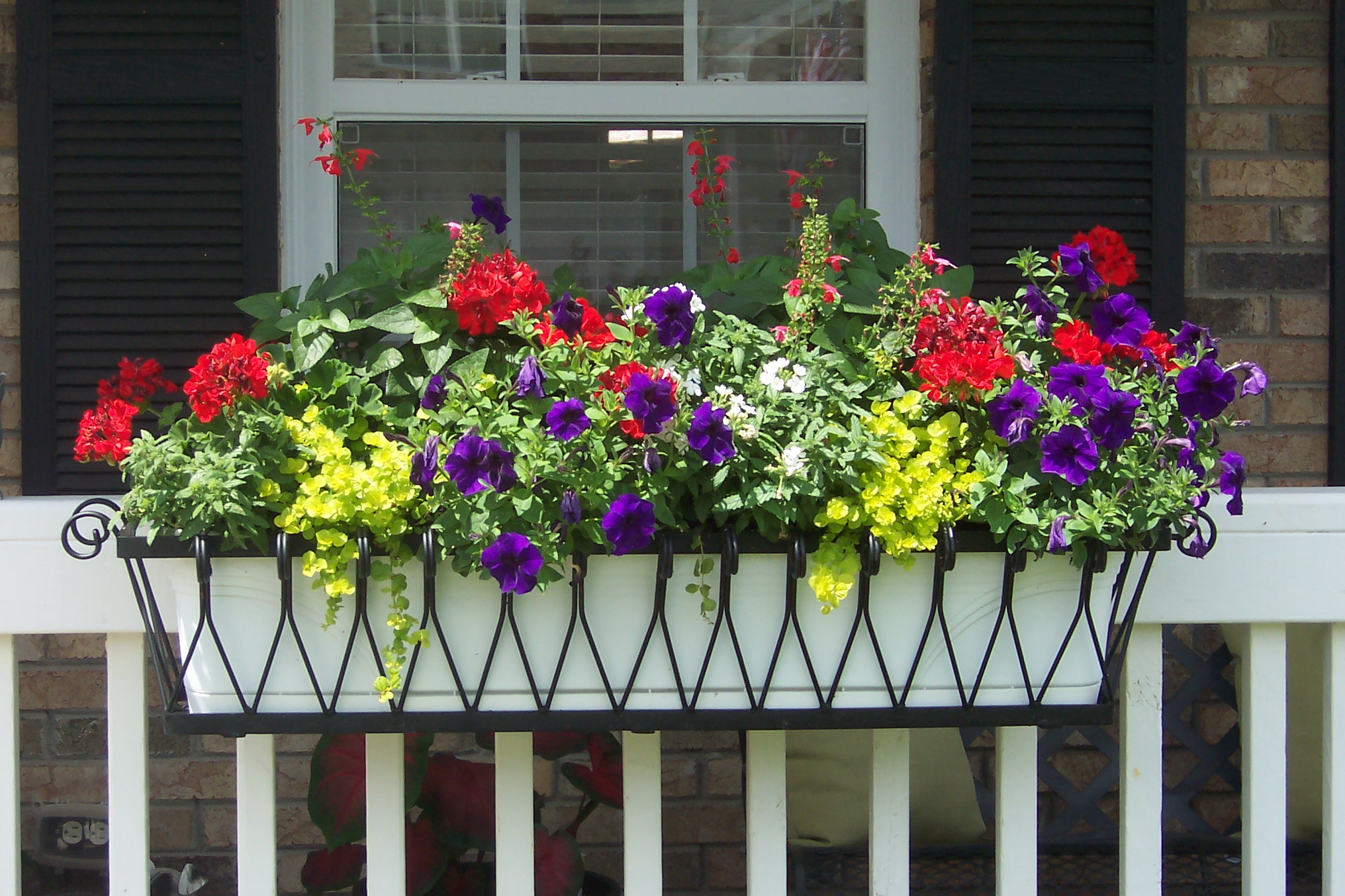 Outdoor Beautiful Railing Planters For Your Fence Or Deck Railing within proportions 2032 X 1354