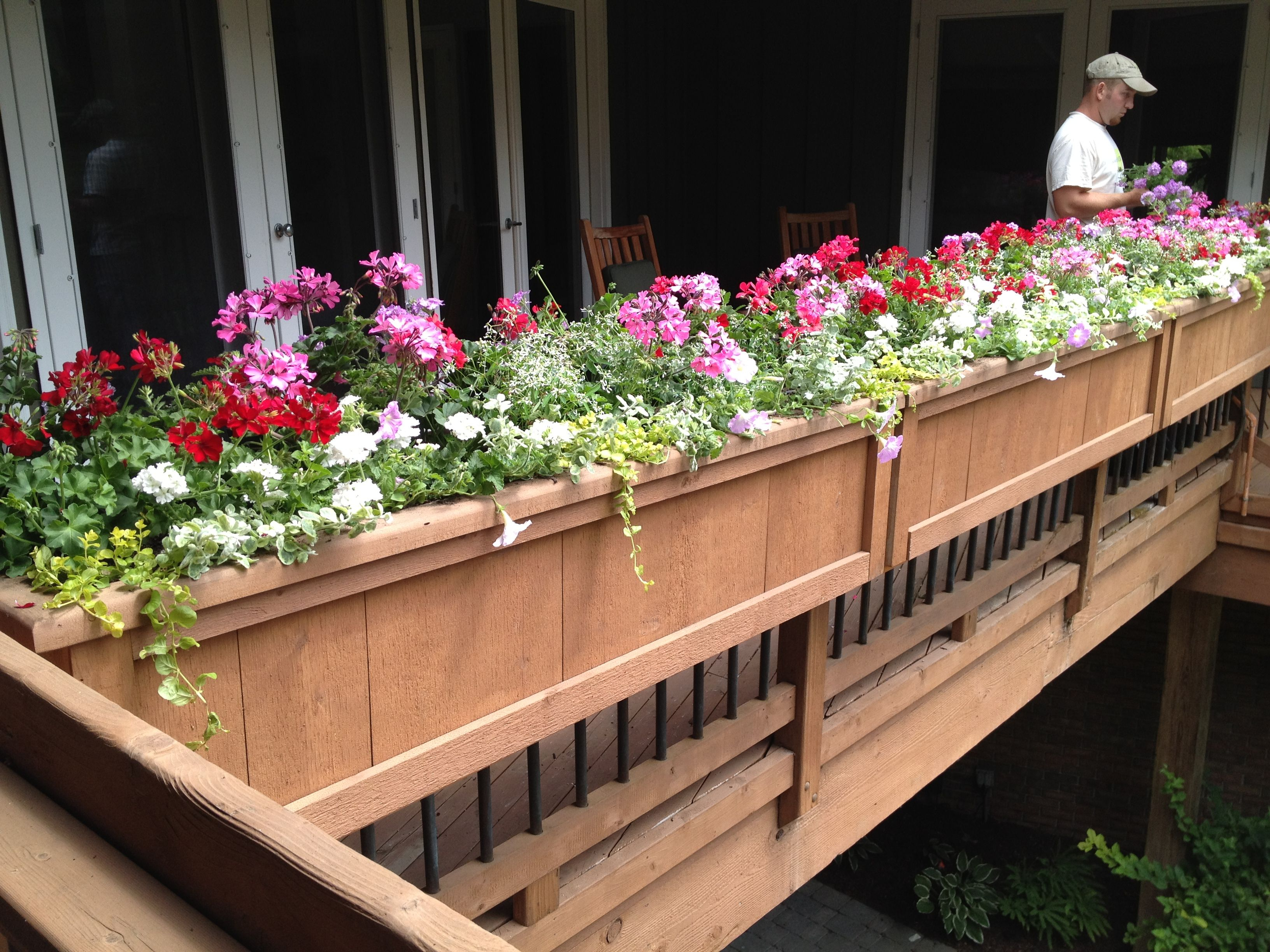 Porch Railing Flower Google Search Garden Flower Boxes Deck intended for proportions 3264 X 2448