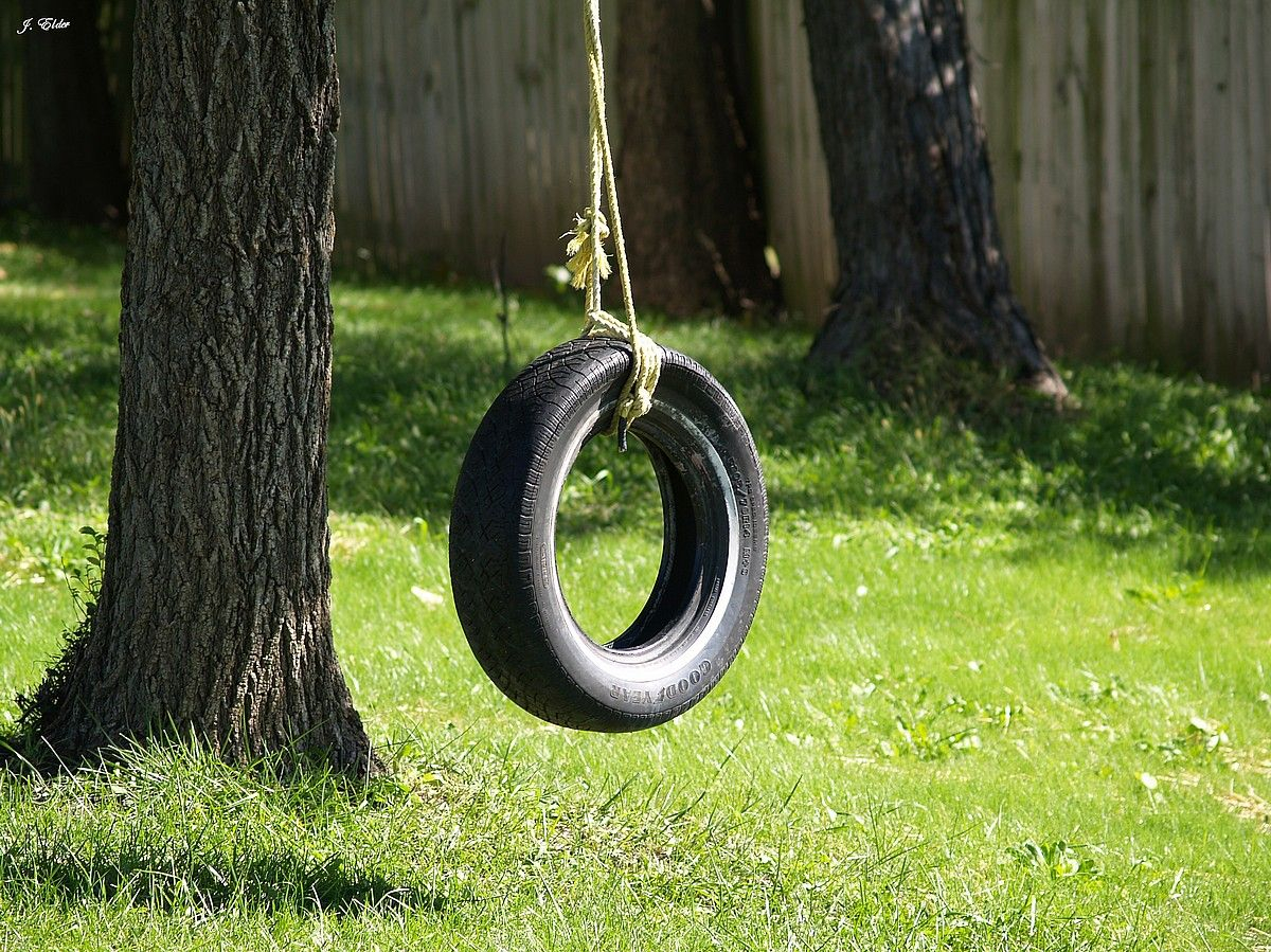 The Browns Had A Great Old Tire Swing Hanging From Their Hickory in size 1200 X 899