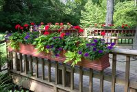 Window Boxes For Deck Railing Too My Flower Service Window Boxes in dimensions 3264 X 2448