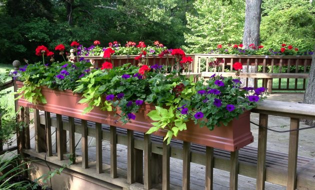 Window Boxes For Deck Railing Too My Flower Service Window Boxes intended for sizing 3264 X 2448