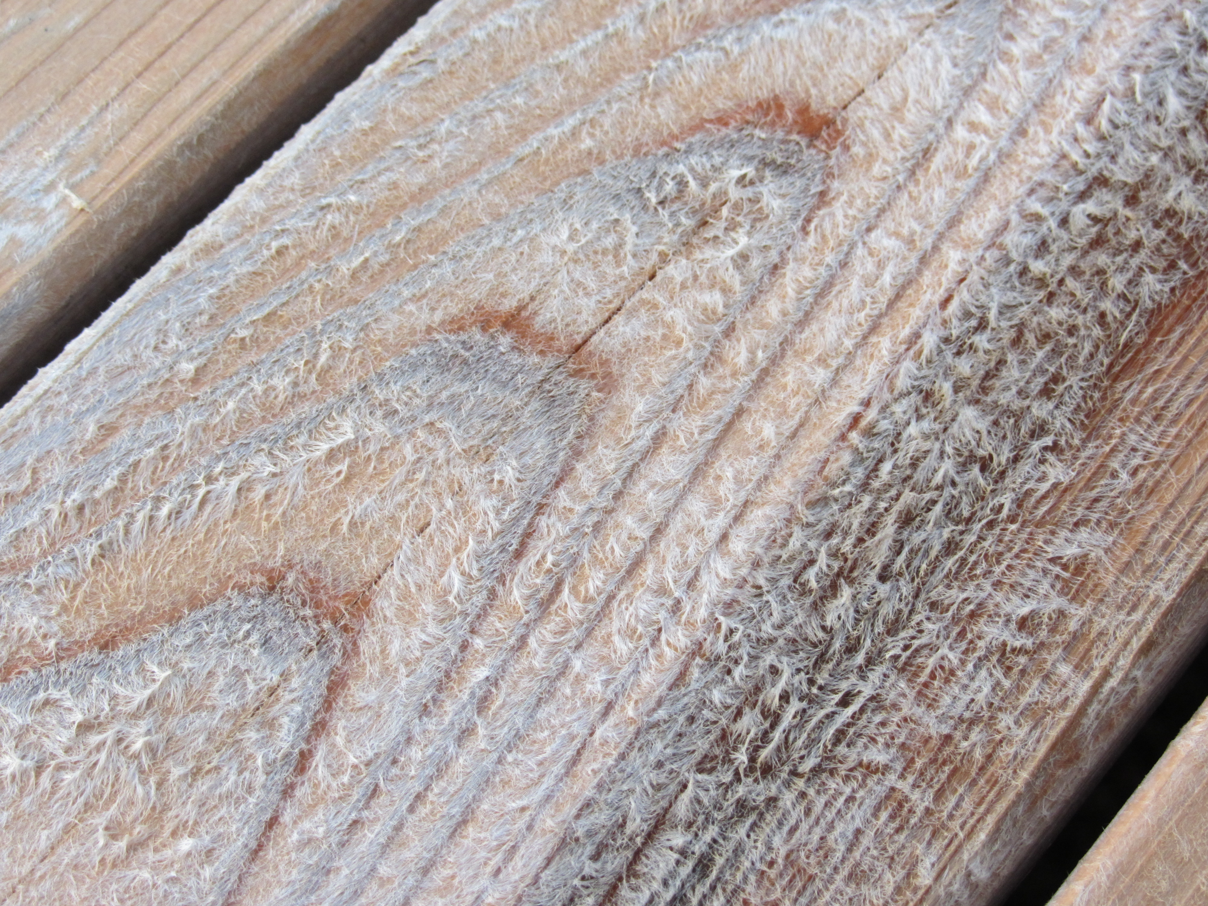 Wood Fuzzies Furring On Deck Best Deck Stain Reviews Ratings pertaining to sizing 4000 X 3000