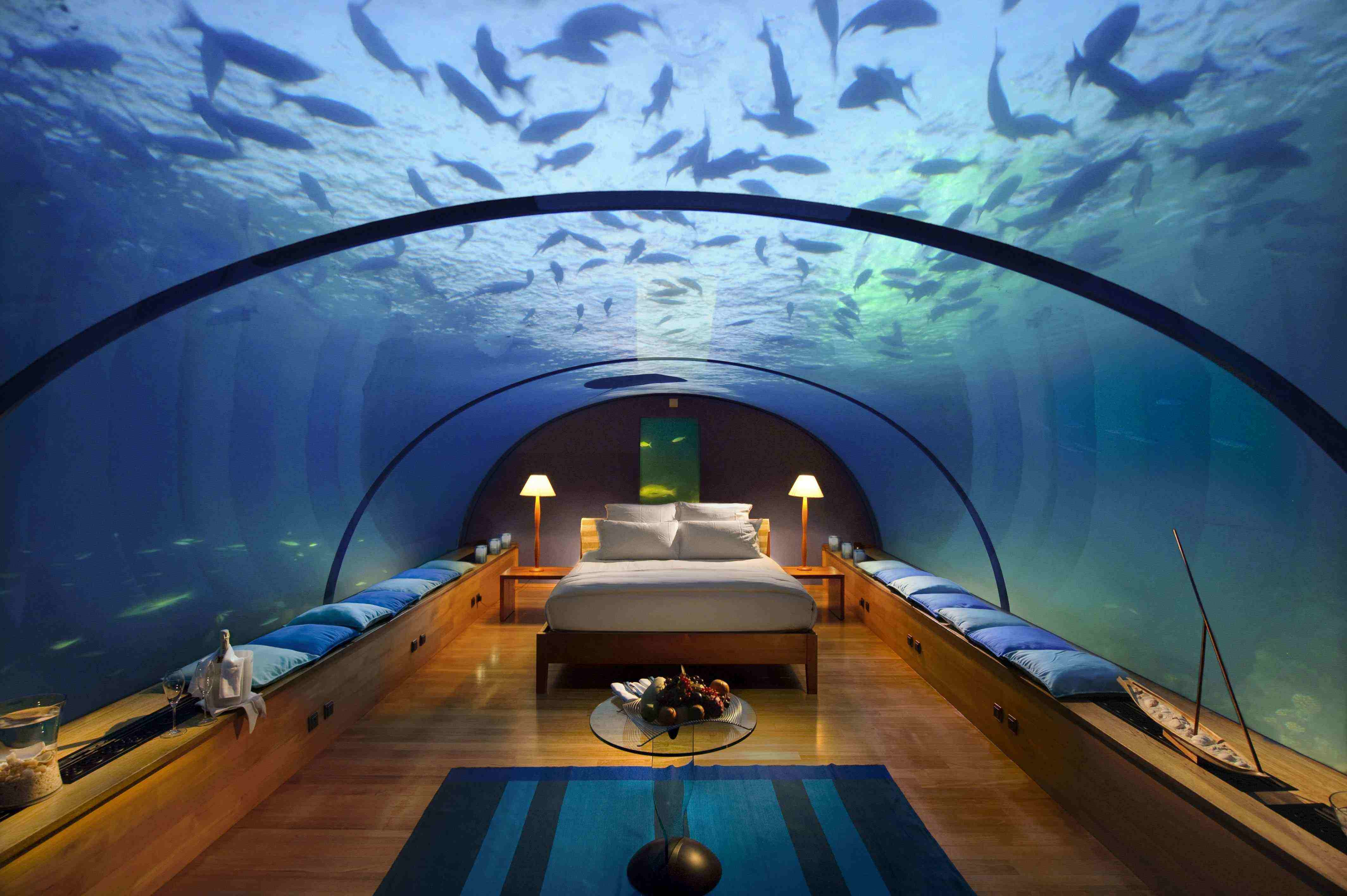 Bedroom Underwater Fish Aquarium Hotel Wallpaper No Aquarium Bedroom throughout size 4256 X 2832
