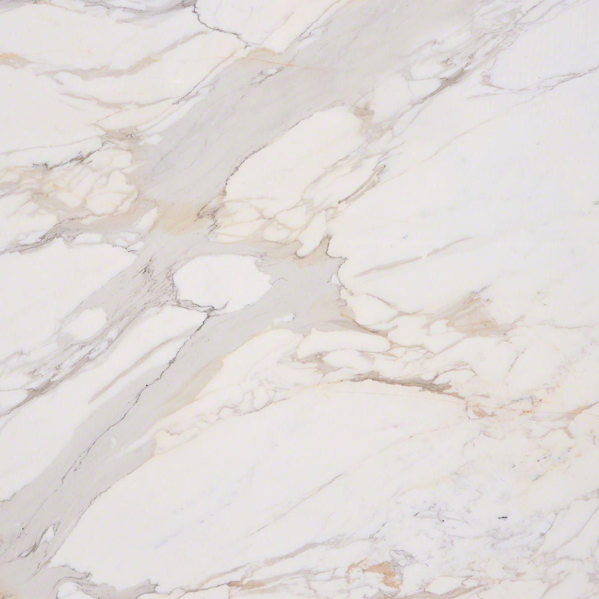 Calacatta Gold Marble Natural Stone Collection M S with proportions 1200 X 1200