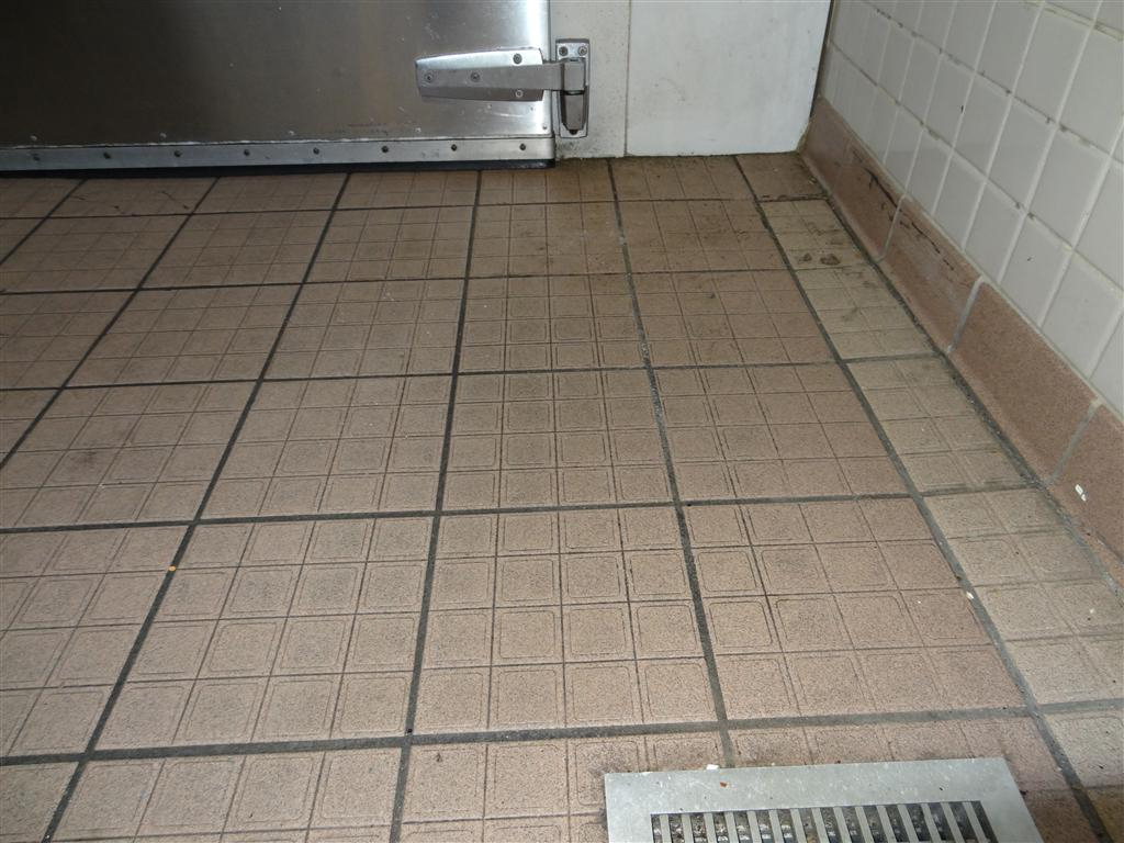 Industrial Kitchen Flooring Tiles 693f53a18d65 Tile Clad pertaining to proportions 1024 X 768