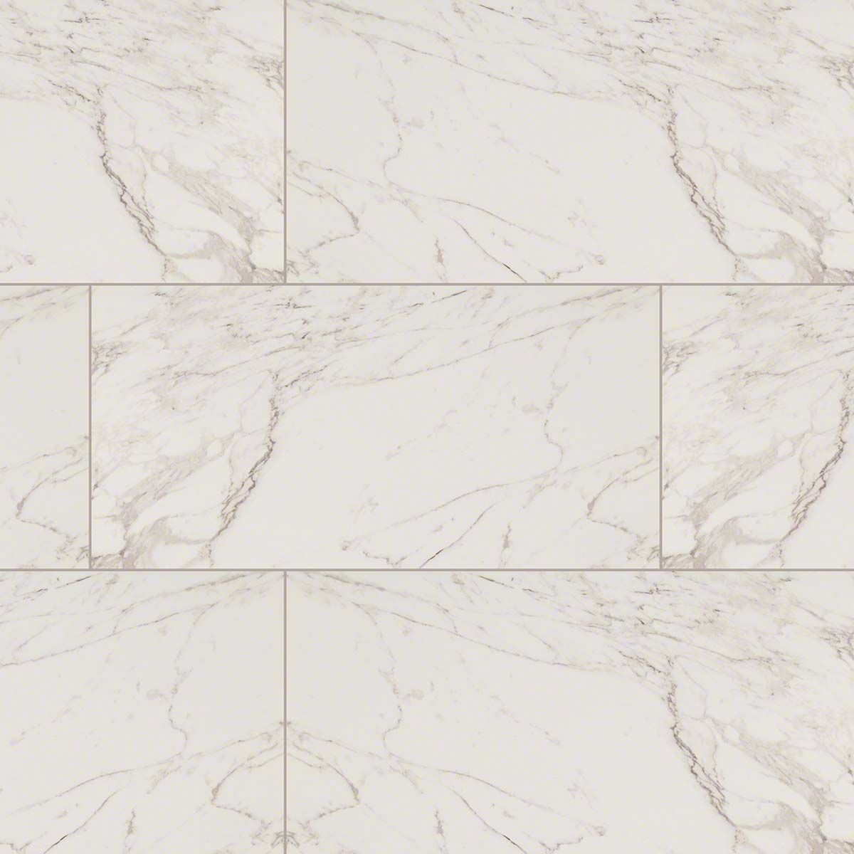 Msi Pietra Series Carrara Marble Look Porcelain Tile In regarding sizing 1200 X 1200