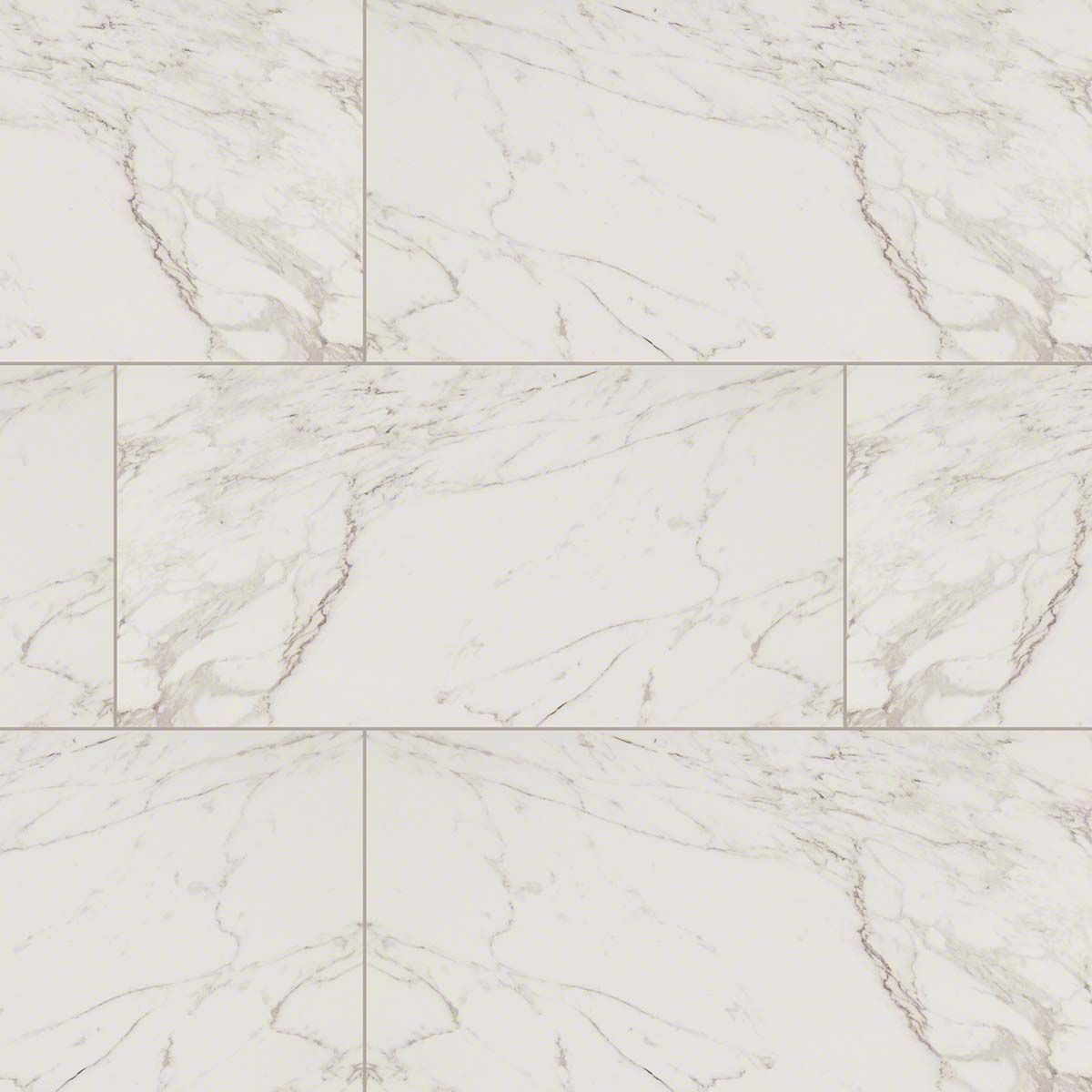 Msi Pietra Series Carrara Marble Look Porcelain Tile In with dimensions 1200 X 1200